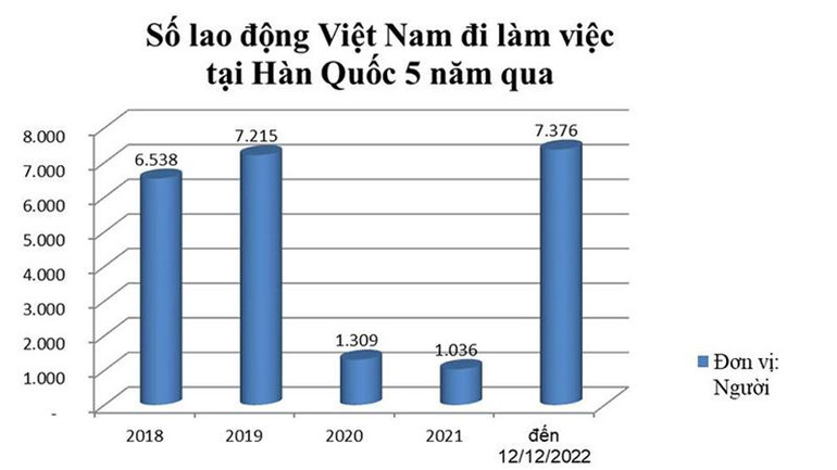 Nguồn: Cục Quản lý lao động ngoài nước.