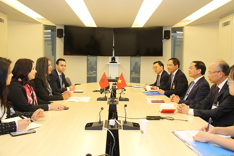 Hai bộ trưởng nhất trí phối hợp chặt chẽ và ủng hộ lẫn nhau tại các diễn đàn đa phương, đặc biệt là trong khuôn khổ Liên hợp quốc và Phong trào Không liên kết. Ảnh: Minh Duy