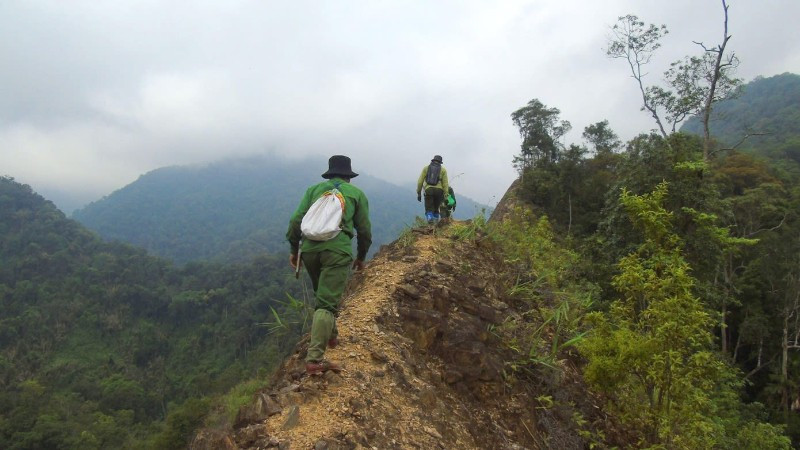 Tuần tra bảo vệ rừng ở Vườn Quốc gia Pù Mát.