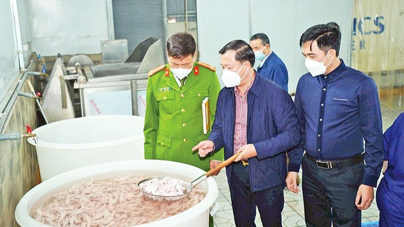 Kiểm tra công tác vệ sinh an toàn thực phẩm tại Công ty TNHH sản xuất chế biến thực phẩm Alishan thuộc địa bàn Hà Nội. (Ảnh: THU TRANG)