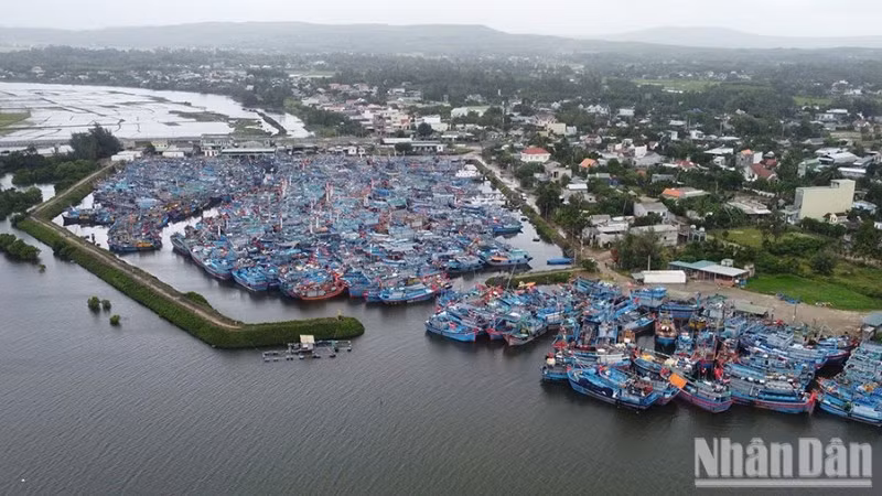 Tàu cá của ngư dân neo đậu tại cảng Tịnh Hòa (Quảng Ngãi).