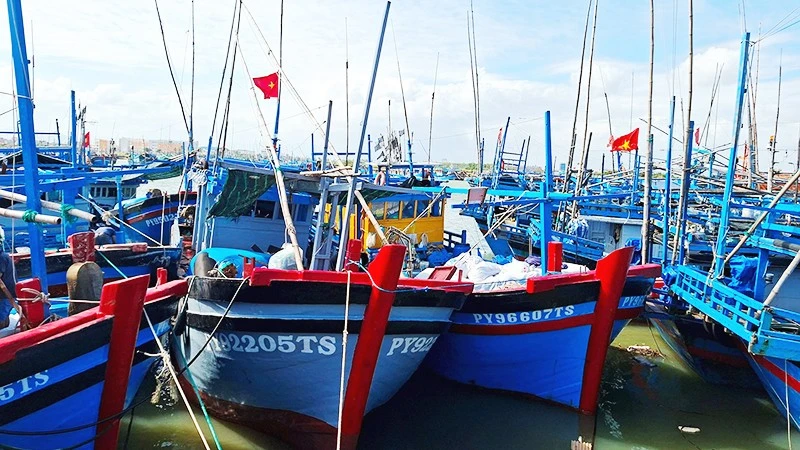 100% tàu đánh cá xa bờ tỉnh Đắk Lắk gắn thiết bị giám sát hành trình.