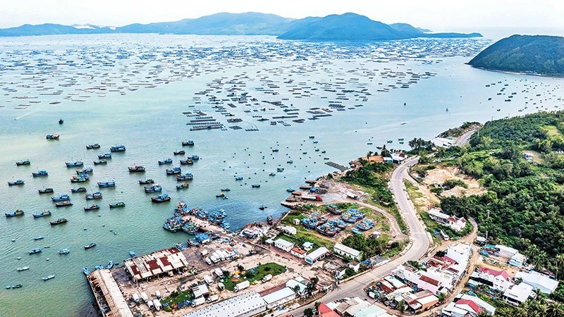 Nghề nuôi thủy sản tại vịnh Xuân Đài đang gượng dậy sau thiên tai.