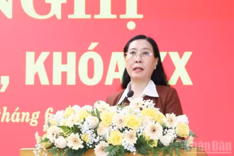 Đồng chí Bùi Thị Quỳnh Vân, Ủy viên Trung ương Đảng, Bí thư Tỉnh ủy, Chủ tịch Hội đồng nhân dân tỉnh Quảng Ngãi phát biểu kết luận hội nghị.
