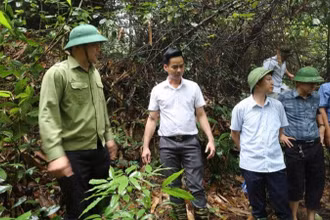 Phó Chủ tịch Ủy ban nhân dân tỉnh Điện Biên Lò Văn Cương, kiểm tra các vết nứt tại địa bàn bản Pú Chả, xã Mường Pồn, tỉnh Điện Biên.