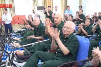 [Video] Ban hành Quy chế hoạt động của Ban Chỉ đạo Trung ương về cải cách lương, ưu đãi người có công