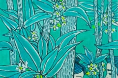 Minh họa: Trần Xuân Bình