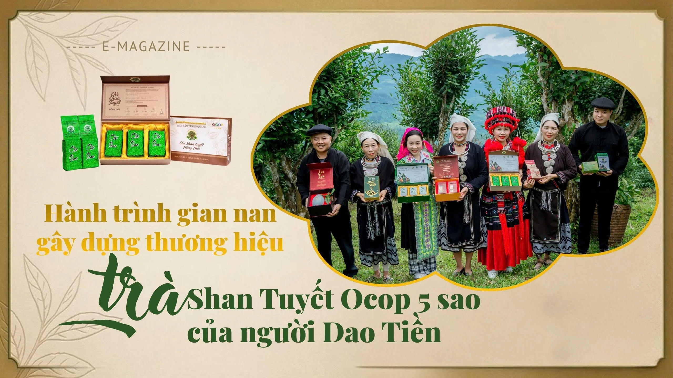 Từ 20ha trà Shan tuyết bỏ hoang, người đàn ông Hồng Thái xây dựng thương hiệu OCOP 5 sao