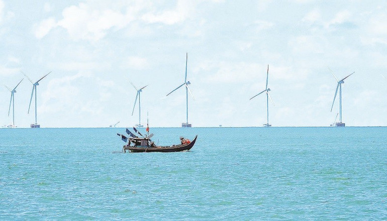 Cánh đồng năng lượng sạch ven biển xã Đất Mũi, tỉnh Cà Mau cohoi33.jpg