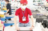 Sản xuất hàng xuất khẩu tại Công ty TNHH May Tinh Lợi, Khu Công nghiệp Nam Sách, Hải Phòng. (Ảnh: TUỆ NGHI)