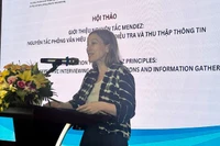 Bà Sabina Stein, Trợ lý Đại diện Thường trú, Trưởng phòng Quản trị và Tham gia của UNDP tại Việt Nam, phát biểu tại hội thảo.