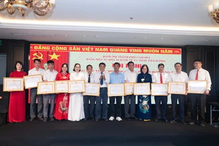 Chi bộ Công ty cổ phần tập đoàn phát triển công nghiệp TTP trao tặng giấy khen cho các đảng viên xuất sắc.