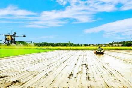 Bà con nông dân thành phố Cần Thơ ứng dụng công nghệ cao vào sản xuất. (Ảnh: nhandan.vn)