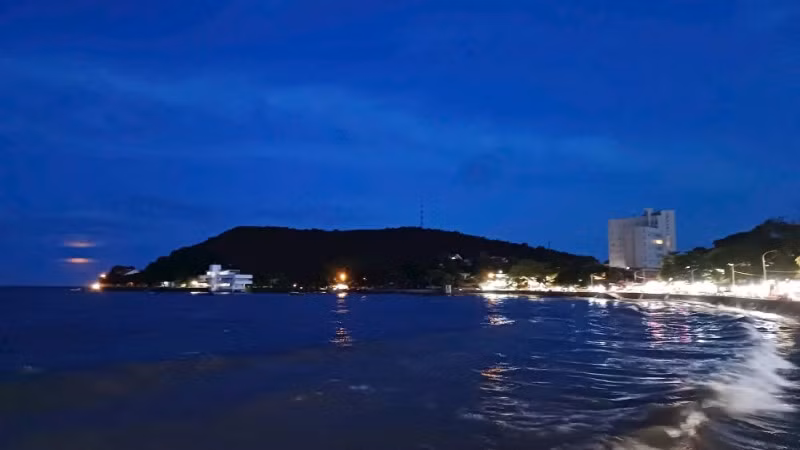 AI mở ra hướng mới cho bảo tồn đa dạng sinh học biển.