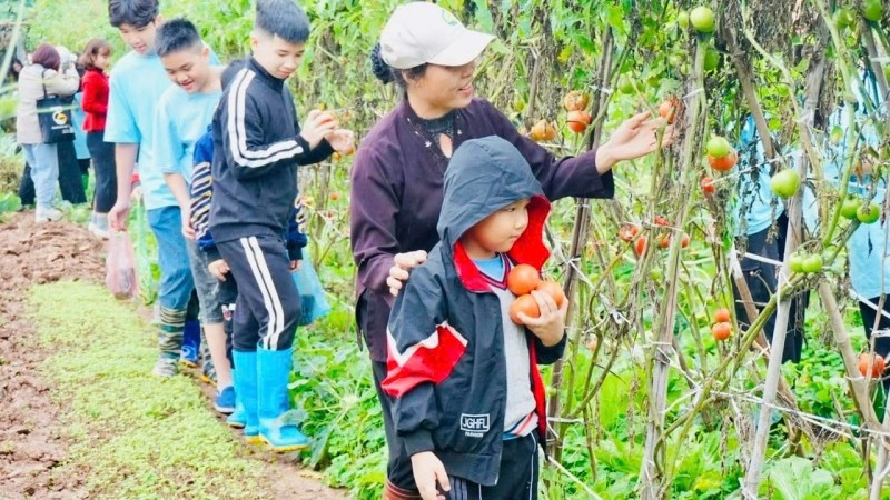 Du khách trải nghiệm một tour du lịch nông nghiệp xanh tại khu vực ven đô Hà Nội. (Ảnh: BÍCH HỒNG)