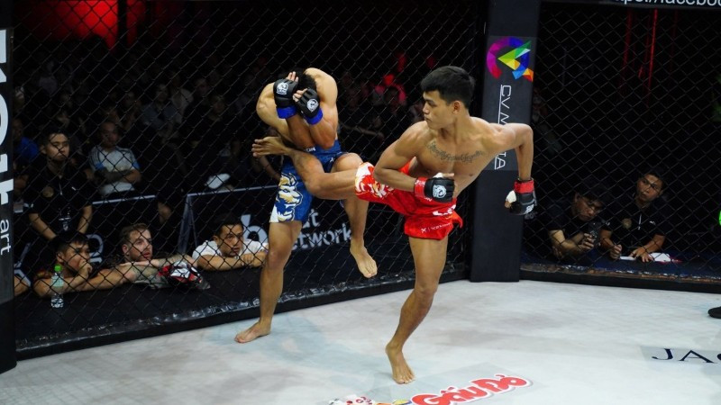 LC29 thu hút nhiều cặp đấu nổi tiếng, hứa hẹn những trận đấu kịch tính và hấp dẫn.