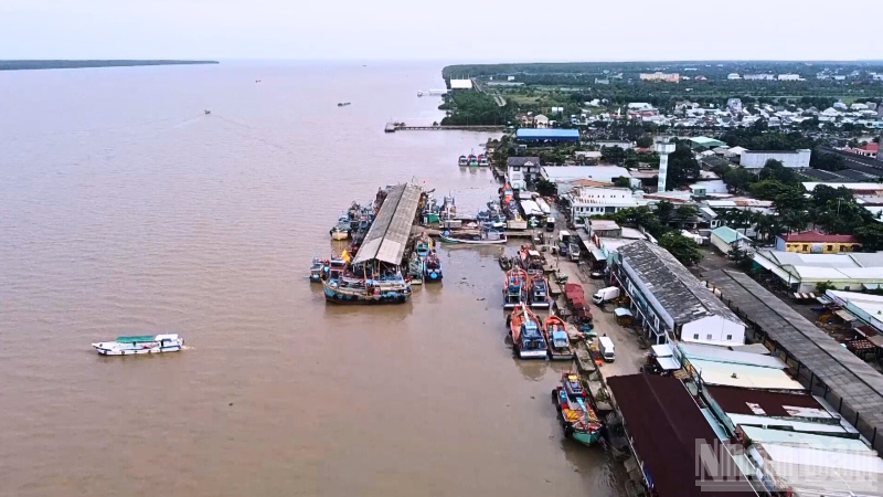 Cảng cá Trần Đề nhìn từ trên cao.
