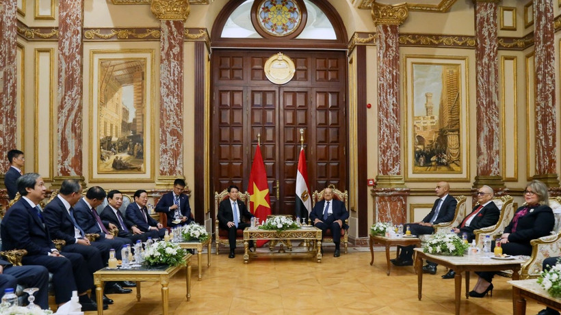 Chủ tịch nước Lương Cường hội kiến Chủ tịch Thượng viện Ai Cập Abdel-Wahab Abdel-Razeq.