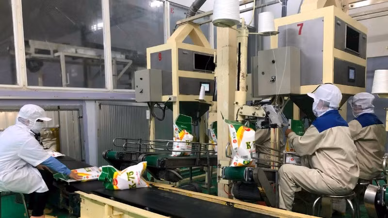 Dây chuyền sản xuất gạo K-75.