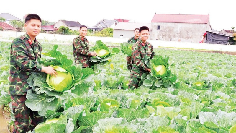 Chiến sĩ Trung đoàn 95, Sư đoàn 325, Quân đoàn 12 tăng gia sản xuất, chủ động nguồn thực phẩm tươi, sạch cho bộ đội đón Xuân.