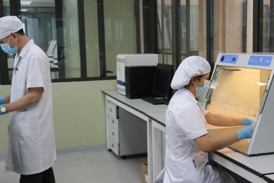 Cán bộ, kỹ thuật viên Khoa Xét nghiệm sinh học, Viện Pháp y Quân đội thực hiện quy trình giám định AND hài cốt liệt sĩ.