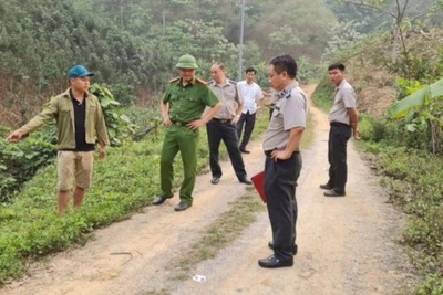 Các chấp hành viên đi thực địa tại tỉnh Lào Cai (cũ) để thi hành án.