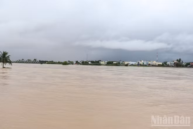 Đợt mưa lũ vừa qua gây thiệt hại lớn về người và tài sản tại nhiều địa phương trong tỉnh Quảng Ngãi.