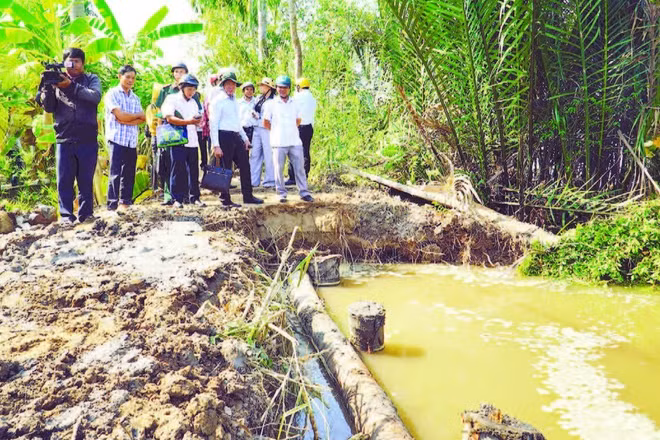 Ngành chuyên môn Cần Thơ khuyến khích người dân tham gia bảo vệ bờ sông bằng các biện pháp tự nhiên như trồng cây chắn sóng tại những khu vực có bãi bồi.