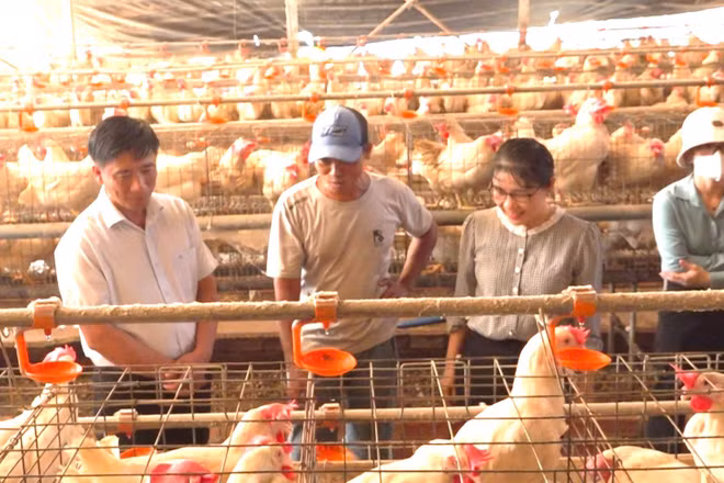 Lãnh đạo xã Lộc Ninh tham quan mô hình chăn nuôi hiệu quả.
