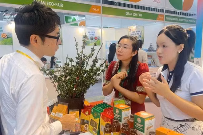 Doanh nghiệp Nhật Bản tìm hiểu sản phẩm mật ong của Gia Lai tại Vietnam Foodexpo 2025.