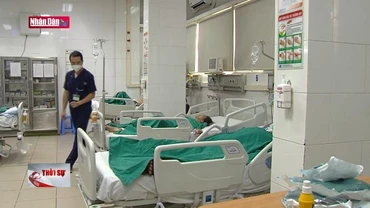 Khẩn trương tìm nguồn thuốc điều trị sốc sốt xuất huyết