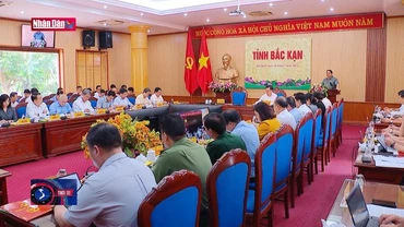 Bắc Kạn cần tập trung phát triển kinh tế rừng và khai thác du lịch