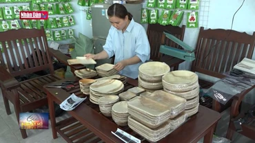 Độc đáo sản phẩm hữu cơ từ mo cau