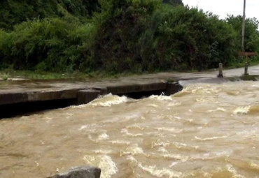 Ảnh minh họa.