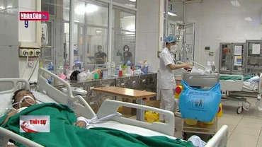 Sốt xuất huyết diễn biến bất thường, gia tăng ca nặng tại miền Bắc