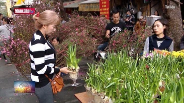 Bộ Tài Chính đề xuất nghỉ Tết Nguyên đán 9 ngày