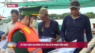 Sẽ thực hiện cao điểm xử lý tàu cá vi phạm trên biển