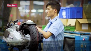 Báo động lừa đảo thương mại quốc tế