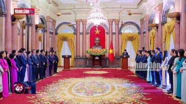 Chủ tịch nước gặp mặt cán bộ, nhân viên Văn phòng Chủ tịch nước