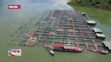 Tháo gỡ "điểm nghẽn" cho doanh nghiệp thủy sản Việt Nam