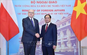 Bộ trưởng Ngoại giao Bùi Thanh Sơn đón Bộ trưởng Ngoại giao Cộng hòa Ba Lan Zbigniew Rau. (Ảnh: TTXVN)