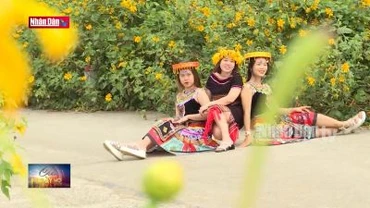 Gia Lai: Khai mạc Tuần lễ Hoa Dã Quỳ - Núi lửa Chư Đang Ya