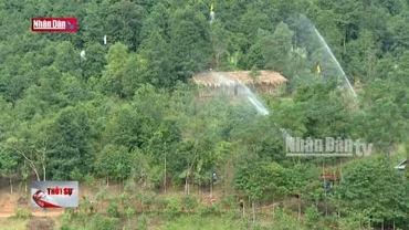 Cảnh báo nguy cơ cháy rừng cấp nguy hiểm tại 53 xã
