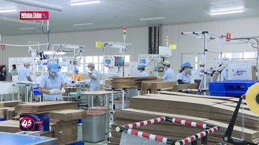 Khai thác tối đa tiềm năng hợp tác song phương Việt Nam - Hàn Quốc