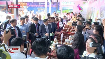 Thủ tướng Phạm Minh Chính chủ trì hội nghị phát triển vùng Đông Nam Bộ