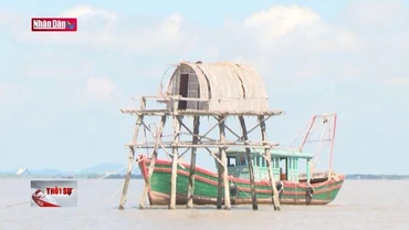 Kiên quyết giải tỏa các trường hợp nuôi ngao trái phép trên biển Hải Phòng