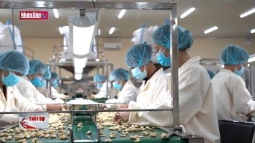 Chủ động phòng ngừa rủi ro trong thương mại quốc tế