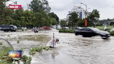 Lâm Đồng chủ động ứng phó để hạn chế thiệt hại, ảnh hưởng do thiên tai