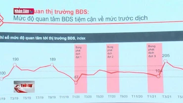 Bất động sản cho thuê hồi phục tốt trong quý 2