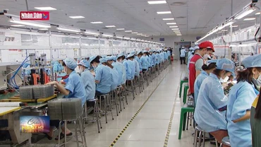 Cơ hội hợp tác với doanh nghiệp Hàn Quốc về lĩnh vực điện tử, quang tử
